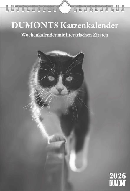 Produktbild Dumonts literarischer Katzenkalender - Wochenkalender mit 53 Motiven und Zitaten von Marion (Deutsch)
