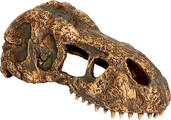 Exo Terra T-Rex Skull