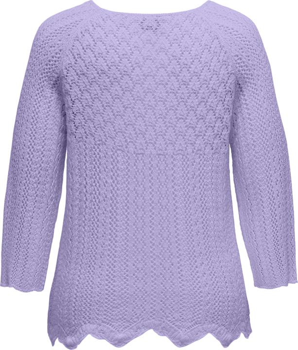 Actual product image Only Regular fit round neck plus pullover knitted jumper (XL)