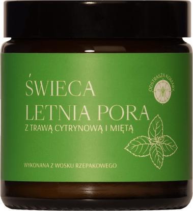 Mglife Świeca rzepakowa Letnia Pora z Trawą Cytrynową i Miętą 120ml (120 ml)