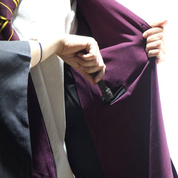 Immagine prodotto Cinereplicas Harry Potter: Grifondoro (S)
