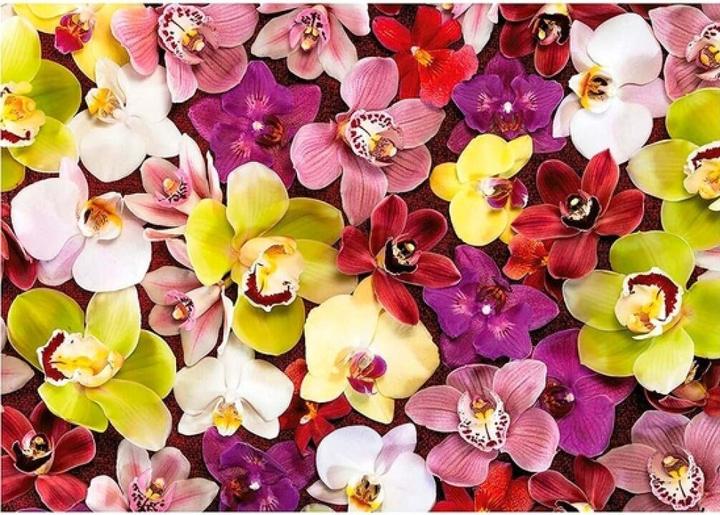 Actual product image Educa 19558 Puzzle 1000 Pcs. Orchid Collage (1000 pieces)