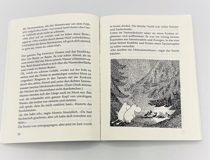 Actual product image The Moomins (5). Storm in Moomin Valley (Tove Jansson, Birgitta Kicherer, German)