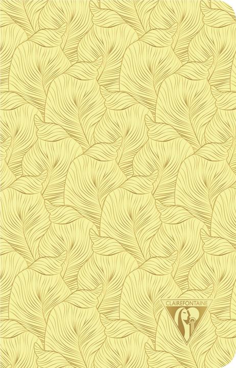 Immagine prodotto Clairefontaine Neo Deco (11 x 17 cm, Righe, Copertina morbida)