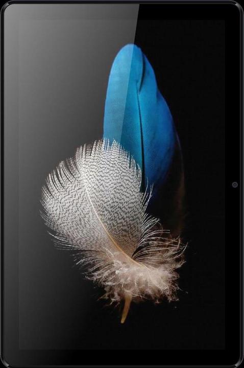 Inoi InoiPad (3G, 10.10", 64 Go, Gris sidéral)
