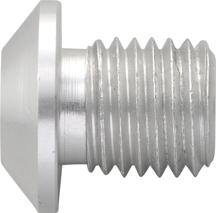 Image du produit Daytona Cache-vis aluminium CNC anodisé argent F. Miroir filetage M10 X P1.25 filetage à droite