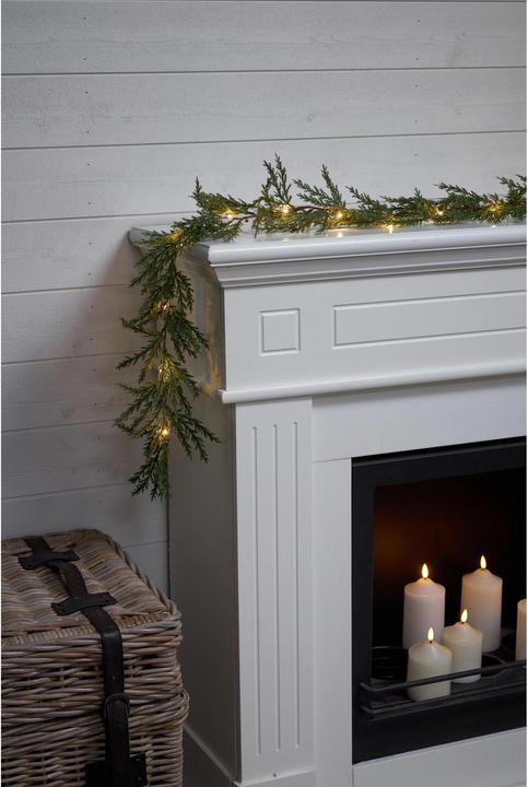 Produktbild Star Trading Thuja