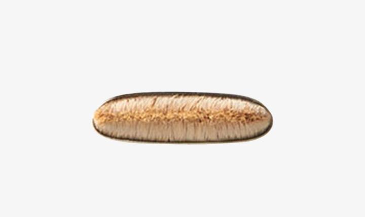 Produktbild MAC Cosmetics 212 Flat Definer Brush (Eyeliner)