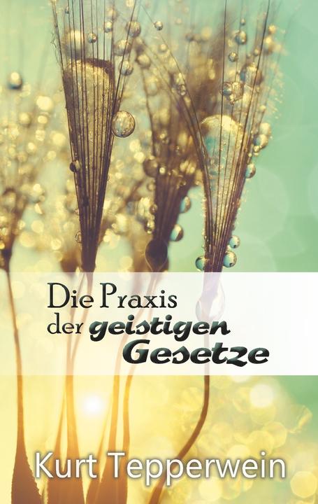 Produktbild Die Praxis der geistigen Gesetze (Deutsch, Kurt Tepperwein, 2018)