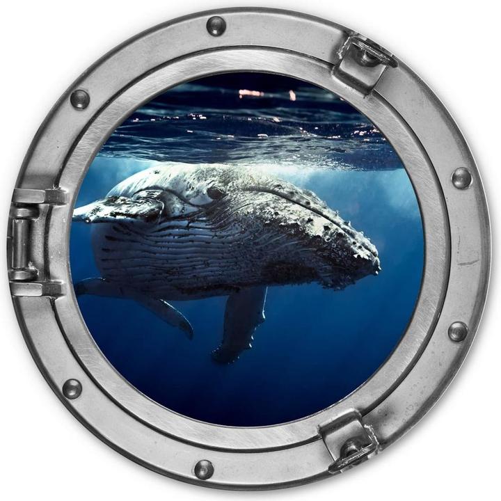 Image du produit Trenddeko 3D-Optik Bullauge - Baleine à bosse en plongée (Ø 20 cm)
