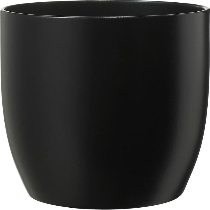 Soendgen Basel (21 cm)