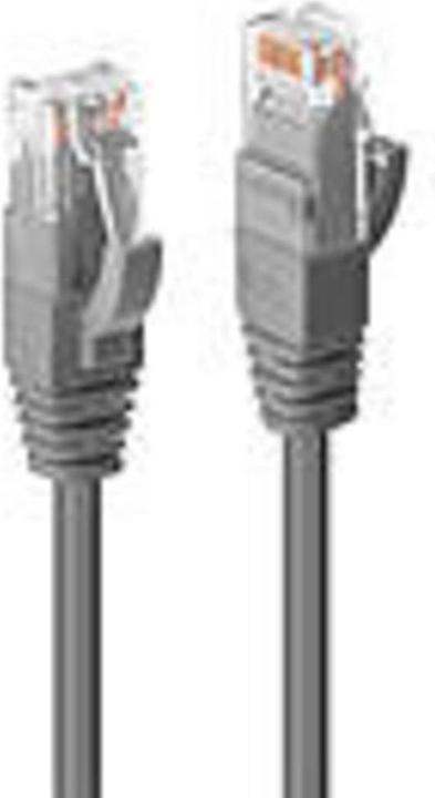 Actual product image Lindy Network cable (UTP, CAT6, 0.50 m)