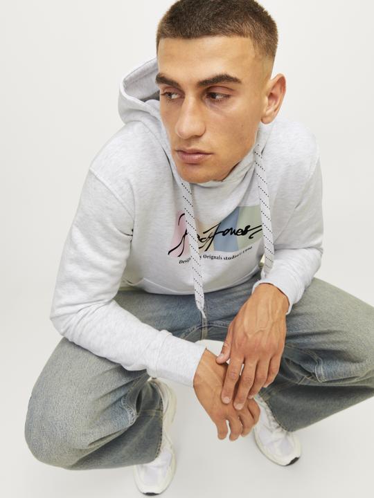 Produktbild Jack & Jones Jorportland Block Sweat Hood Ln (M)
