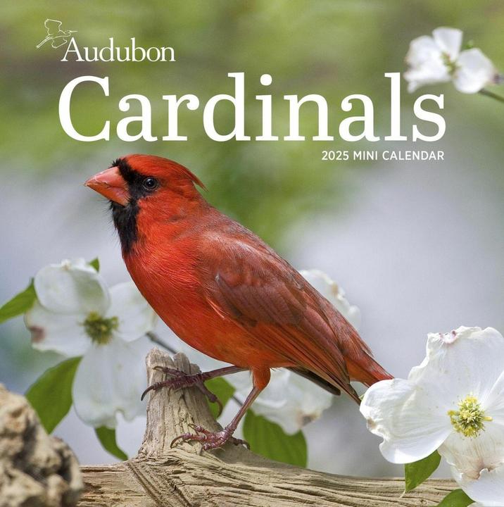 Audubon Cardinals Mini Wall Calendar 2025 (7 x 7 cm, English)