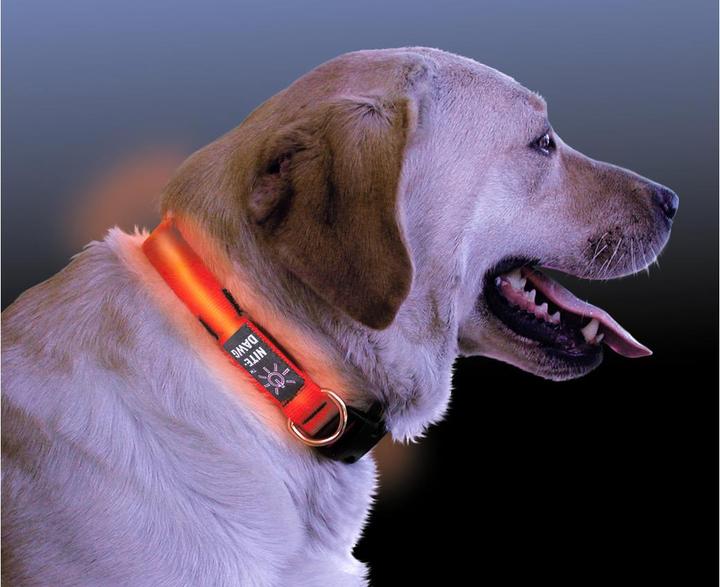 Immagine prodotto Nite Ize Collare LED Nitedawg (S, Cane, Jogging, Passeggiare)