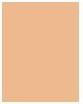 Actual product image Shiseido SS Self Refreshing Tint No 225 (225 Light Magnolia)