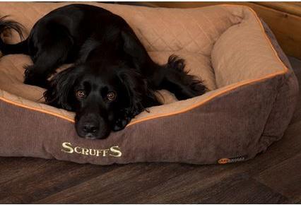 Image du produit Scruffs Thermal Kuschelbett (Chien)