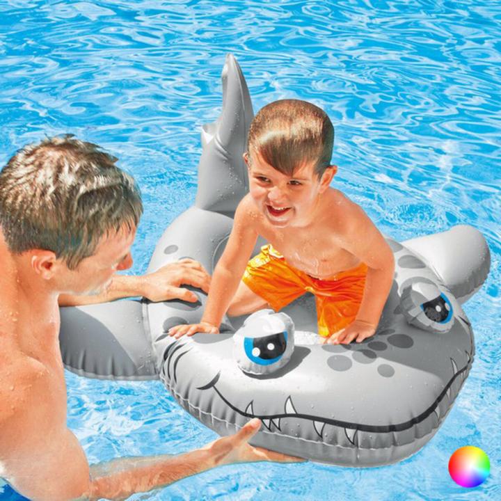 Image du produit Intex Pool Cruisers