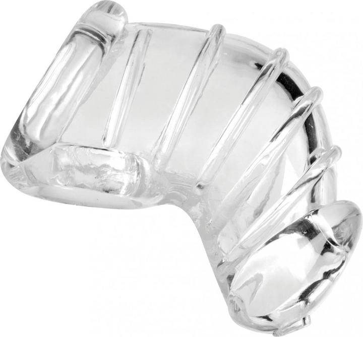 Actual product image Master Series Flexible chastity cage