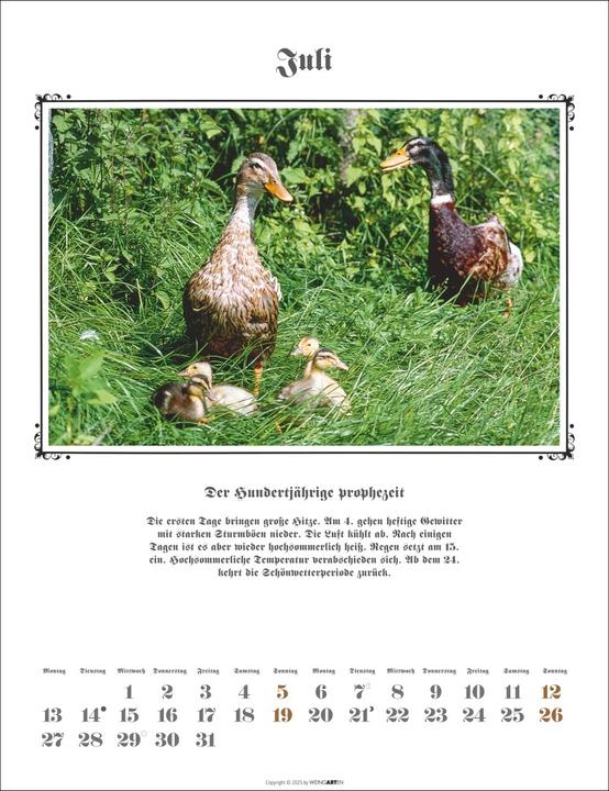 Actual product image Der Hundertjährige Kalender 2026 (30 x 39 cm, German)