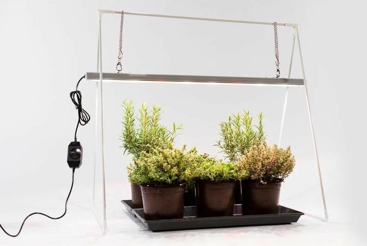 Immagine prodotto Venso Growlight Duo (LED, 245 V)