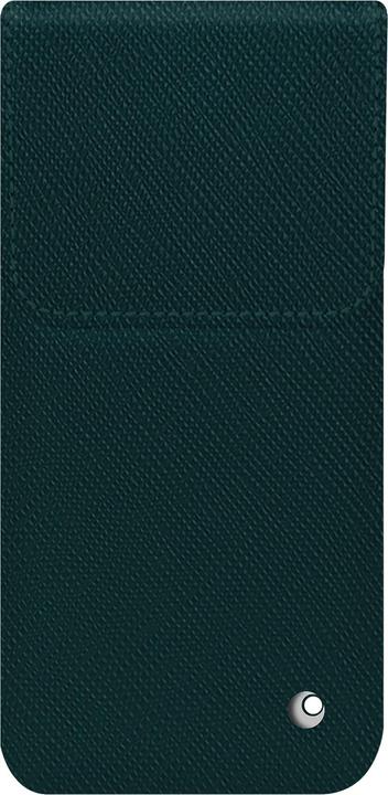 Vert séduisant ( Pantone #1d3c34 )