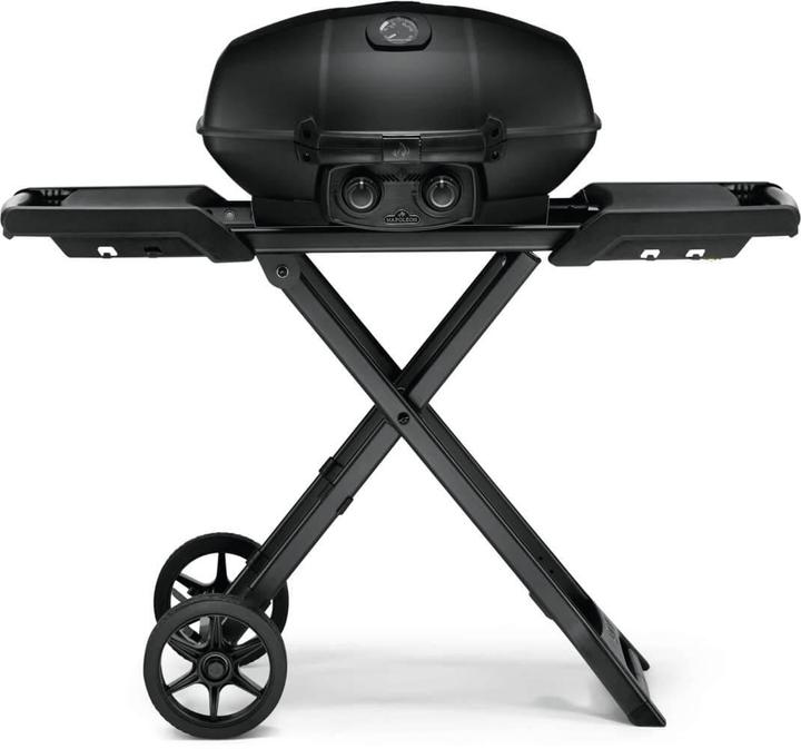 Actual product image Napoleon TravelQ Pro 285 X (4.10 kW)