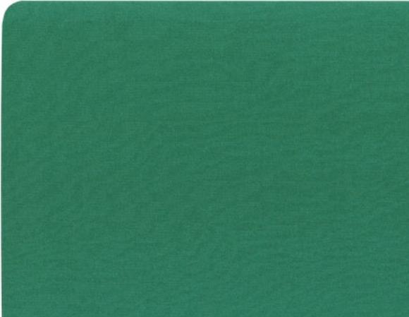 Immagine prodotto InLine Tappetino per mouse verde 250x220x6mm (S)