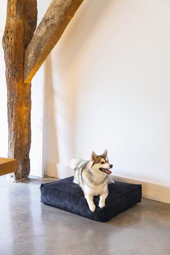 Produktbild Designed by Lotte Liegekissen (Hund)