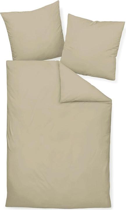 Brown, cappuccino