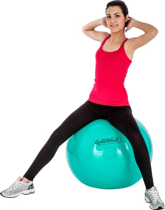 Actual product image Ledragomma Fitness Ball Original Pezzi Ball (65 cm)