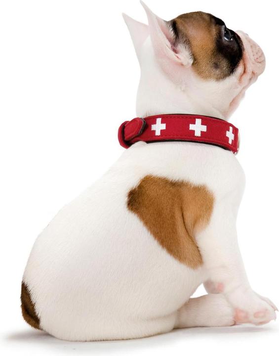 Image du produit Hunter Swiss (Chien, Général)