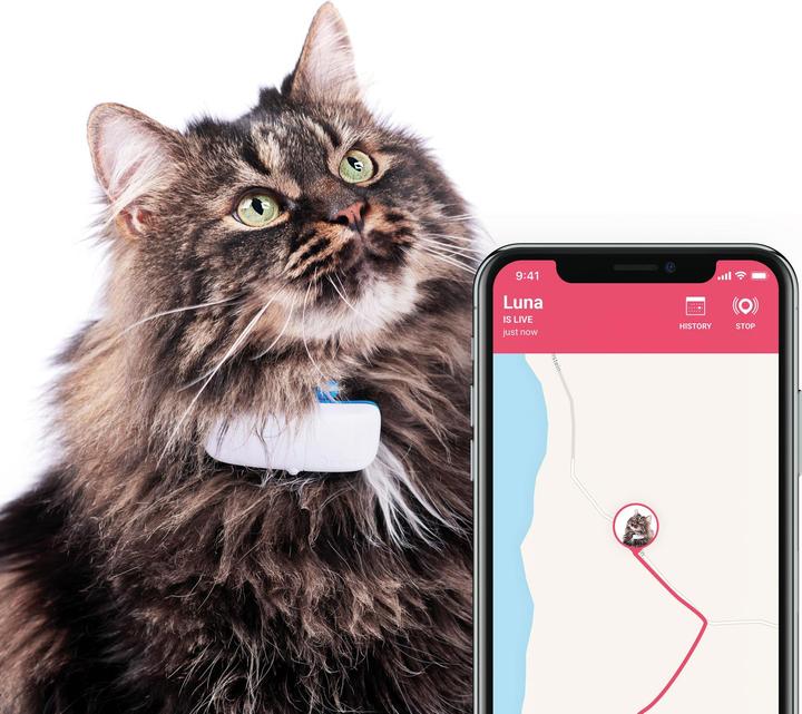 Produktbild Tractive GPS Tracker für Katzen mit Aktivitätstracking (Katze, Spazieren)