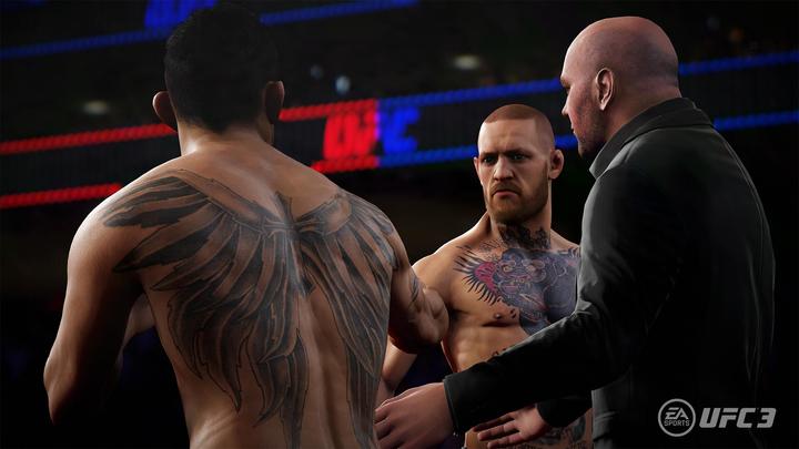 Image du produit EA Games Les succès de la PlayStation : UFC 3 (PS4, DE)