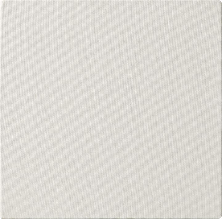 Produktbild Clairefontaine Feuchte Techniken (660 x)