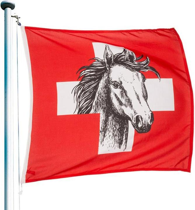 Actual product image Keller Fahnen Schweizerfahne «Pferd» Superflag® 100x100 cm