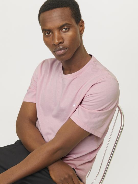 Actual product image Jack & Jones Jjepaulos Tee Ss Crew Neck Noos (L)