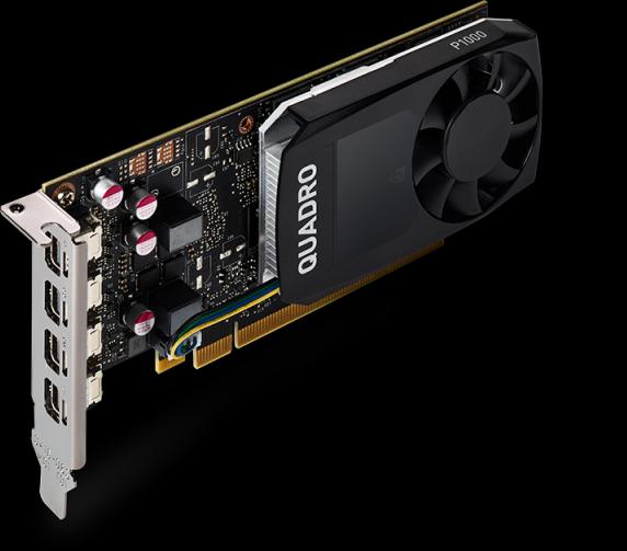 Actual product image PNY Quadro P1000 (4 GB)