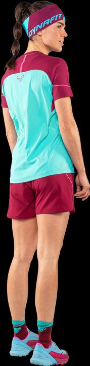Actual product image Dynafit Alpine Pro Short Sleeve Shirt (40, 46, L)