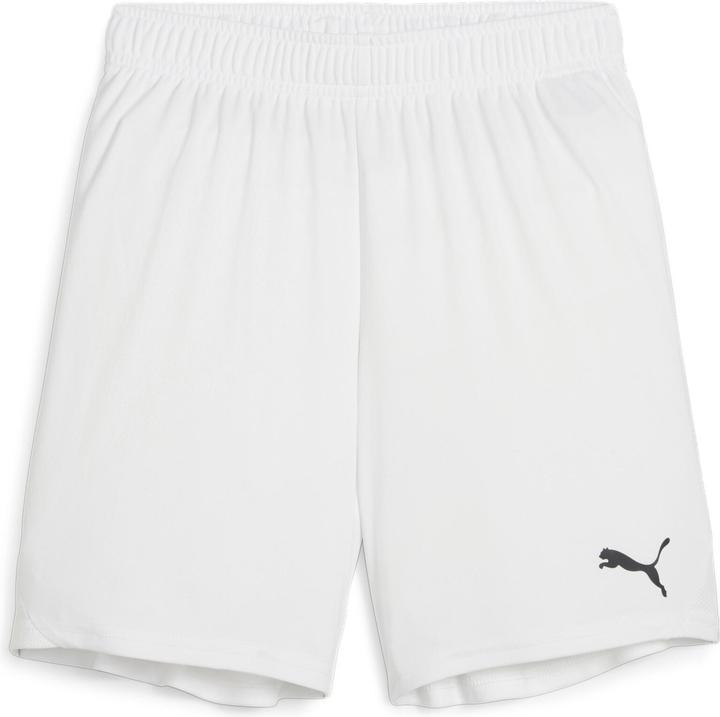 Puma teamGOAL Shorts Jr