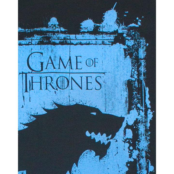 Produktbild Game of Thrones Tshirt (L)