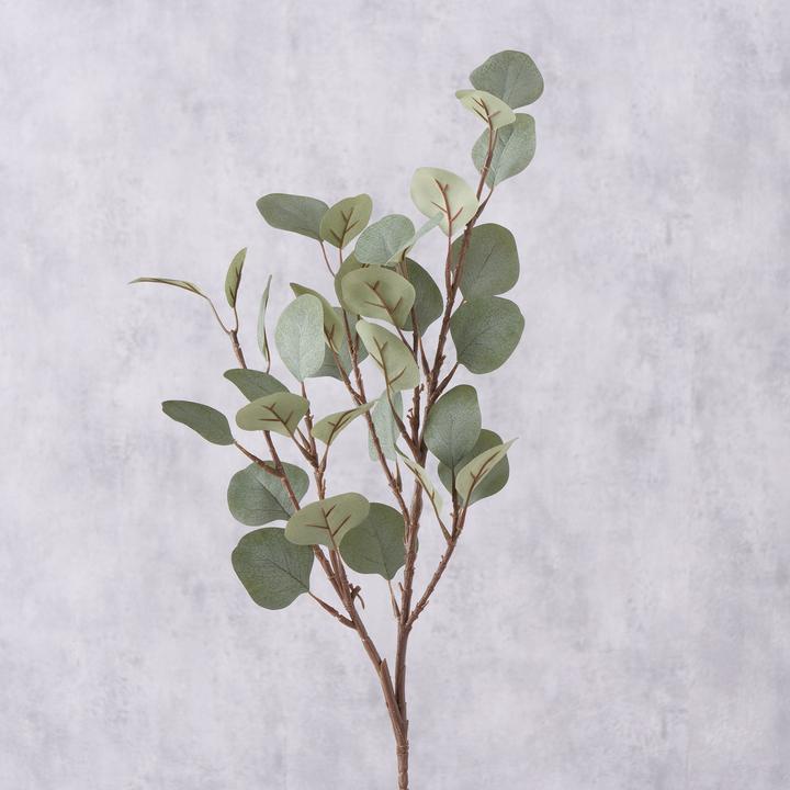 Actual product image Boltze Home Eucalyptus (69 cm)