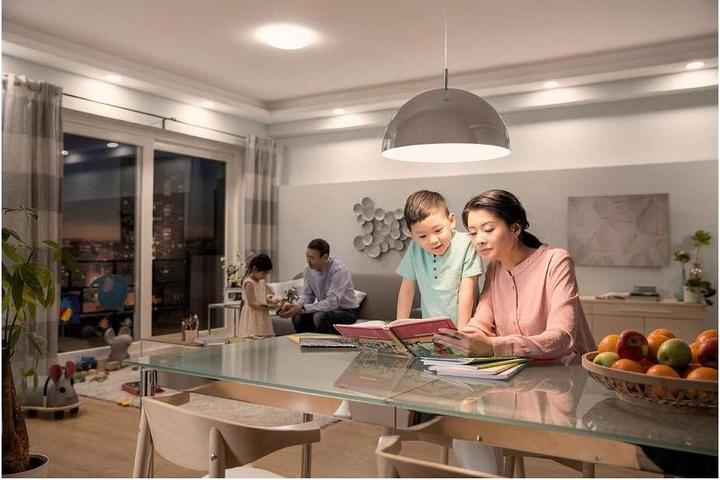 Immagine prodotto Philips Professional Lampada da 2 W a 8 W (60 W) E27 temperatura di colore variabile (E27, 7.50 W, 806 lm, 1 x, F)