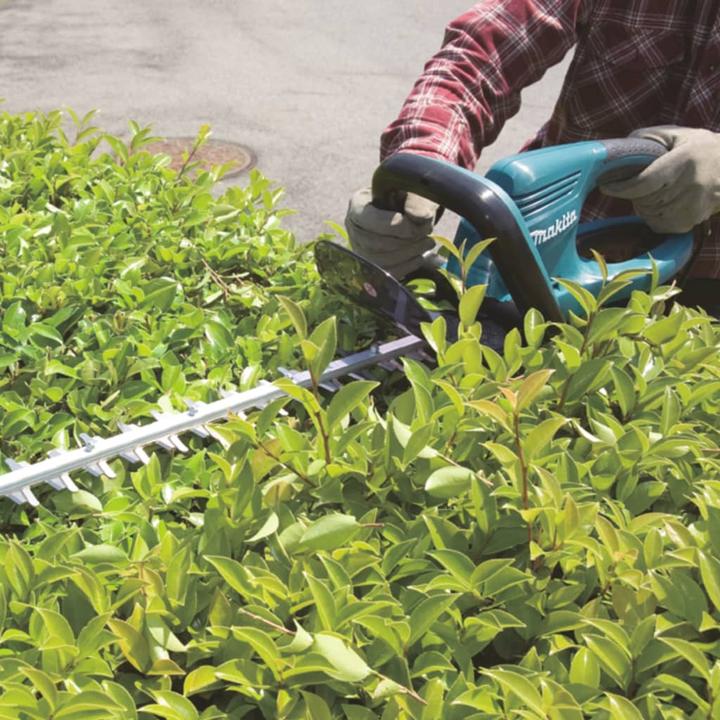Actual product image Makita Uh5570 (Electric hedge trimmer)