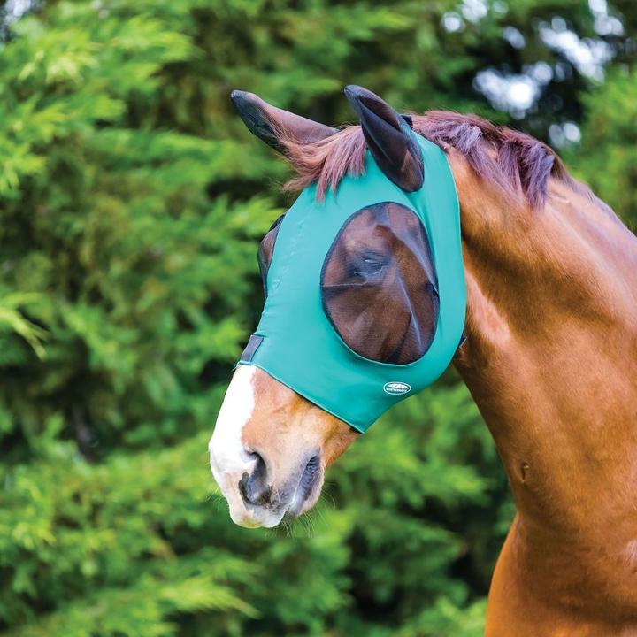 Actual product image Weatherbeeta Deluxe Bug