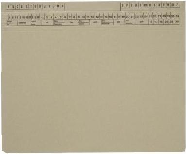 Soldan SoldanPlus Hängehefter CLASSIC 1417802 gr (A4, 1 x)