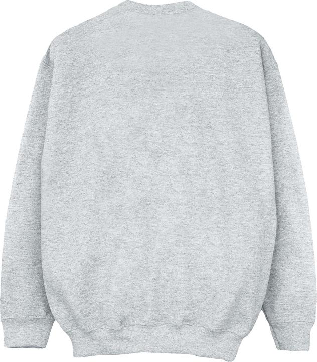 Image du produit Dick Smith Sweatshirt classique pour filles (140, 146)
