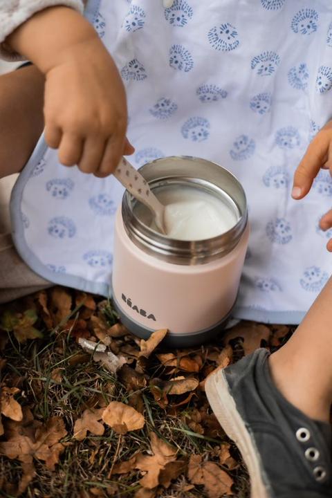 Actual product image Beaba Inox Portion Iso