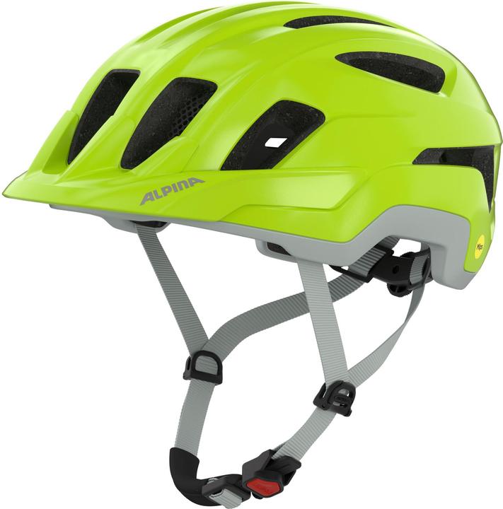 ALPINA SPORTS Paranus Mips