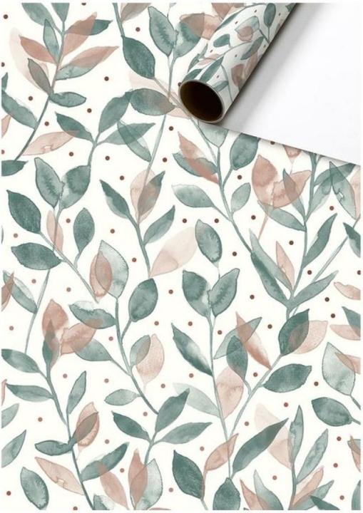Stewo Papier cadeau Everyday rouleau (Papier cadeau, 1 x)